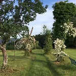 Daire Alpenblick-steineckhof Schopfheim