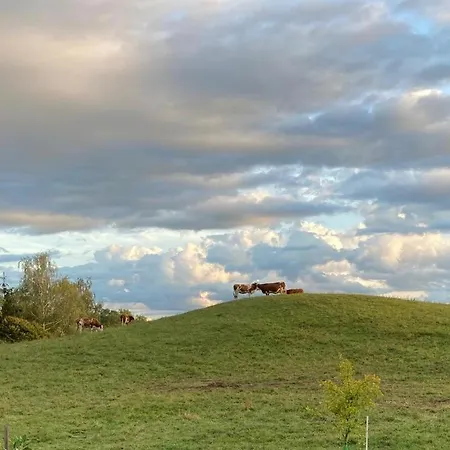 Alpenblick-steineckhof *