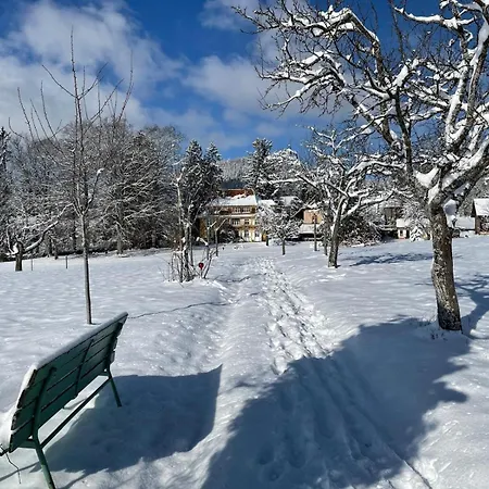Alpenblick-steineckhof Appartamento