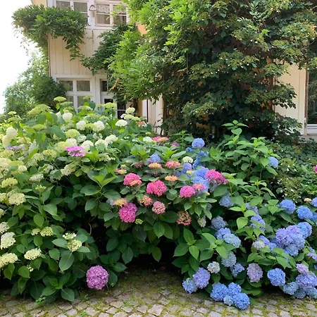 Alpenblick-steineckhof Schopfheim