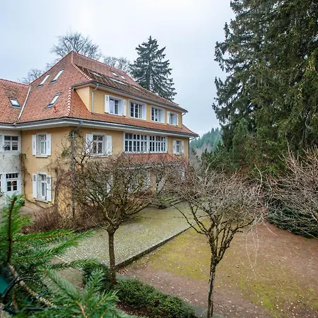 Alpenblick-steineckhof Schopfheim