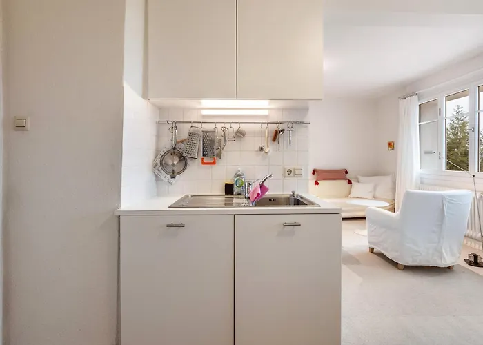 Appartement Alpenblick-steineckhof Schopfheim