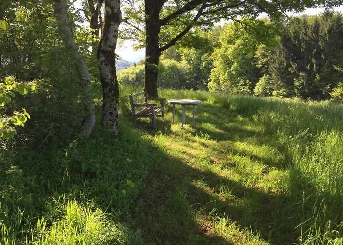 Alpenblick-steineckhof Appartement Schopfheim