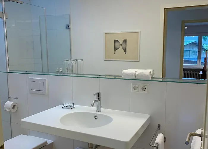 Appartement Alpenblick-steineckhof Schopfheim