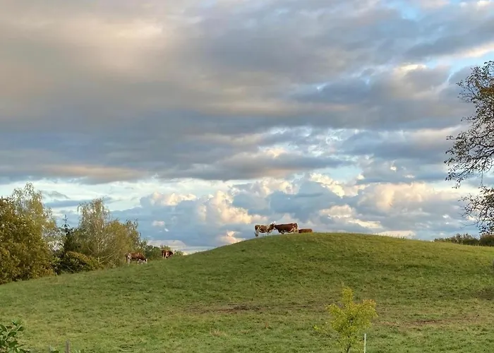 Alpenblick-steineckhof *