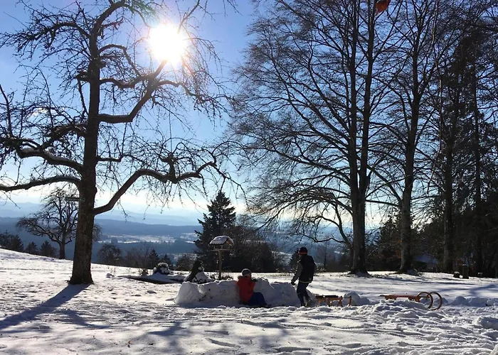 Alpenblick-steineckhof * Schopfheim