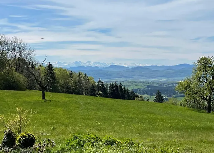 Alpenblick-steineckhof Schopfheim