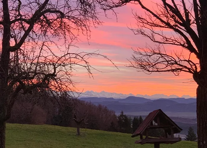 Alpenblick-steineckhof *