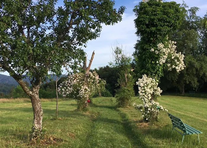 Alpenblick-steineckhof *