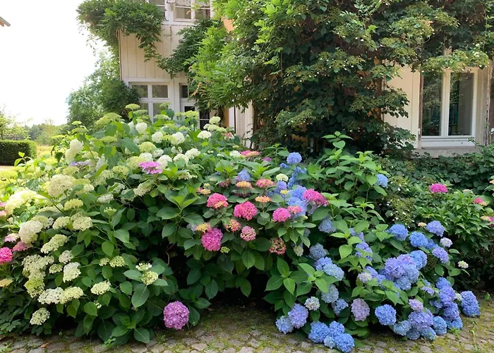 Alpenblick-steineckhof Schopfheim